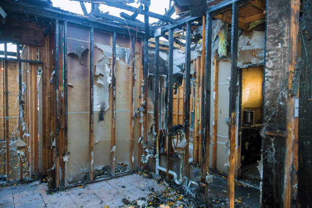 Professional Fire Damage Removal technician working in Chandler, AZ